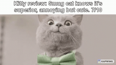 Cat With Green Bow Tie Kitty Review Smug Cat Knows It's Superior Annoying But Cute GIF