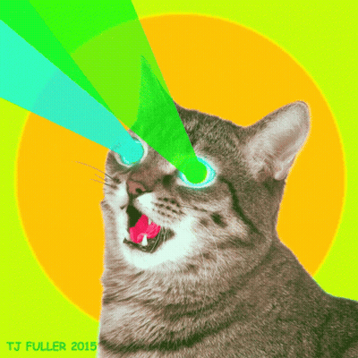 Cat With Green Light Eyes 2015 GIF