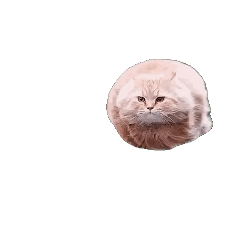 Cat With Green Outline Sticker