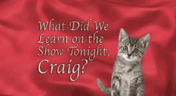 Cat With Gun Shots Mouse GIF