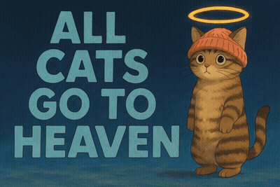 Cat With Halo All Cats Go To Heaven GIF