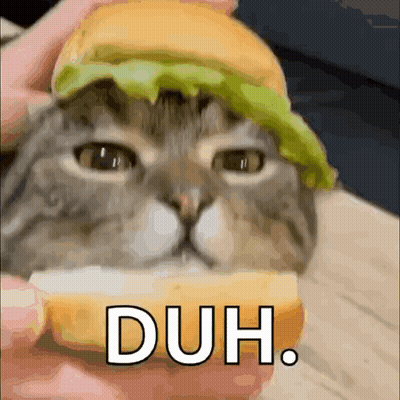 Cat With Hamburger Head And Duh Text GIF