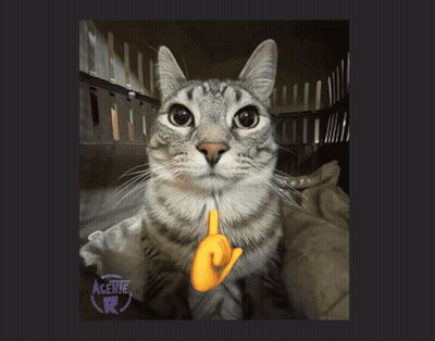 Cat With Hand Pointing Up And Letters Acenie R GIF