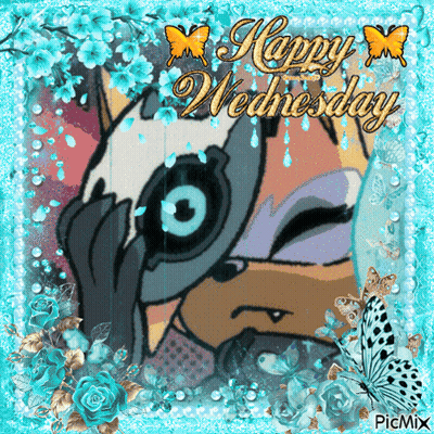 Cat With Happy Wednesday GIF