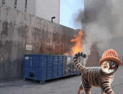 Cat With Hat Near Burning Dumpster GIF