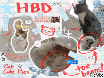 Cat With HBD GIF