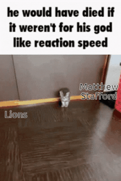 Cat With He Would Have Died If It Werent For His God Like Reaction Speed GIF