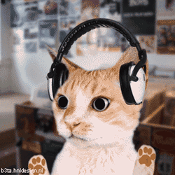 Cat With Headphone
