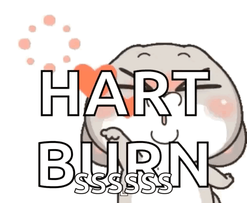 Cat With Heart And Hart Burn GIF
