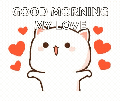 Cat With Hearts Good Morning My Love