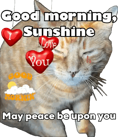 Gato con corazones que dice Te amo Sticker