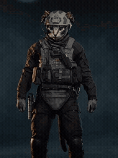Cat With Helmet Holding Gun GIF