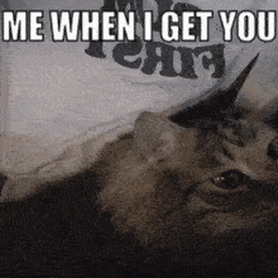 Cat With Horns Saying Me When I Get You GIF