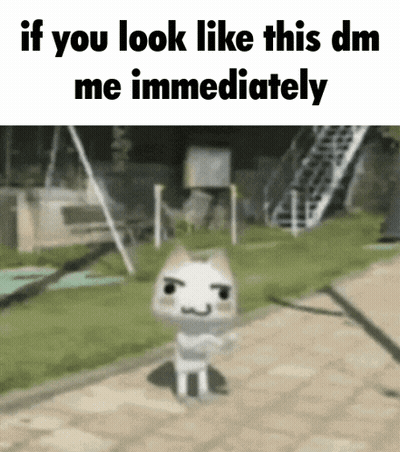 Cat With If You Look Like This DM Me GIF