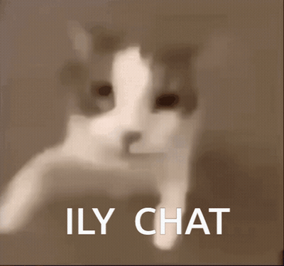 Cat With Ily Chat GIF