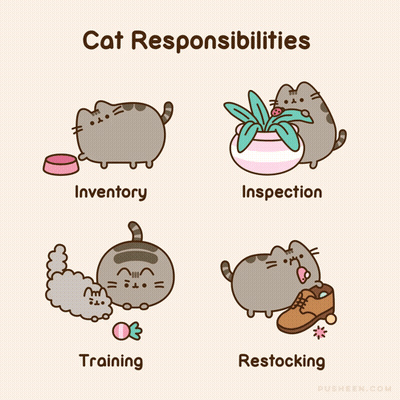 Cat With Inventory Inspection Training And Restocking GIF