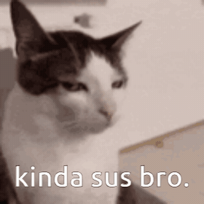 Cat With Kinda Sus Bro Text GIF