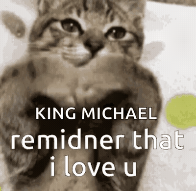 Cat With King Michael Remindner That I Love U GIF