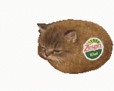Cat With Kiwi Sticker On Face GIF
