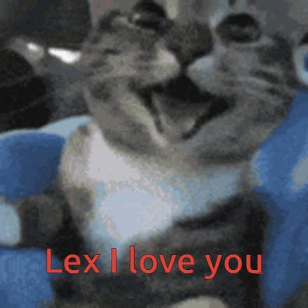 Cat With Lex I Love You Text GIF
