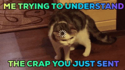 Cat With Loading Bar Saying Me Trying To Understand The Crap You Just Sent GIF