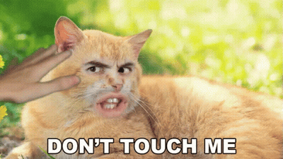 Cat With Man's Face Saying Don't Touch GIF