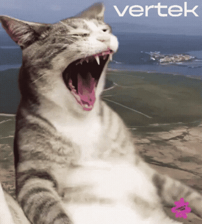 Cat With Mouth Open And Vertek Behind GIF
