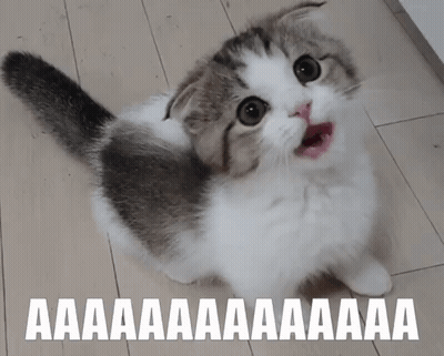 Cat With Mouth Open Saying Aa Aa Aa Aa Aa GIF