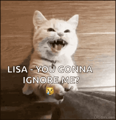 Cat With Mouth Open Saying Lisa You Gonna Ignore Me GIF