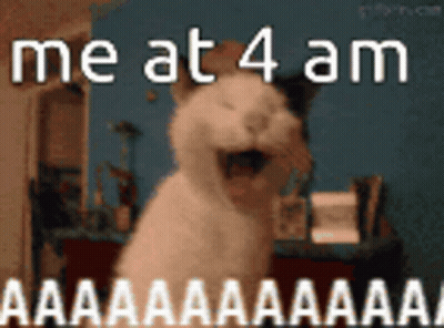 Cat With Mouth Open Saying Me At 4 AM GIF