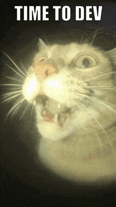 Cat With Mouth Open Saying Time To Dev GIF
