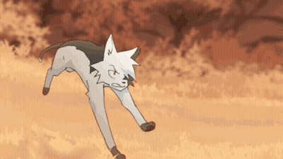 Cat With N On Face GIF