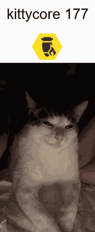 Cat With Name Kittycore 177 GIF