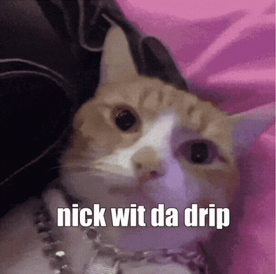 Cat With Nick Wit Da Drip GIF