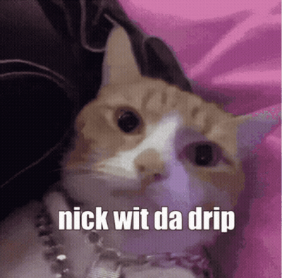 Cat With Nick Wit Da Drip GIF
