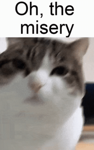 Cat With Oh The Misery GIF