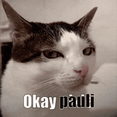 Cat With Okay Pauli On Face GIF