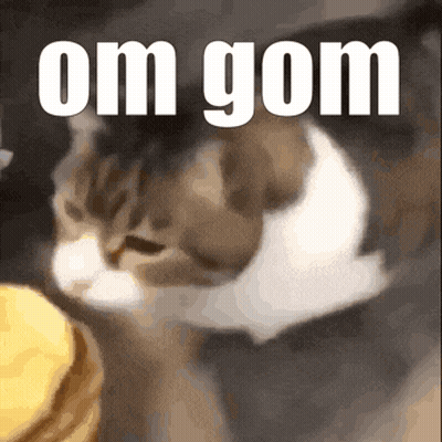 Cat With Om Gom Text GIF