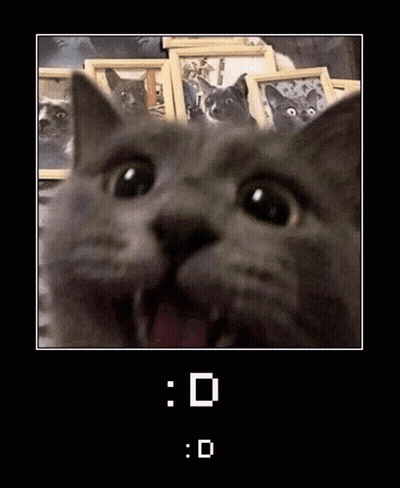 Cat With Open Mouth Among Cat Pictures GIF