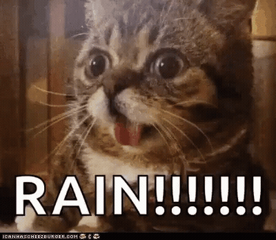 Cat With Open Mouth And Rain Text GIF