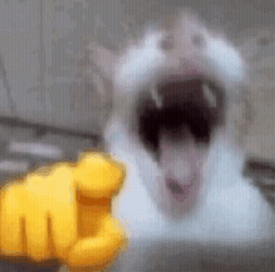 Cat With Open Mouth And Yellow Fist GIF