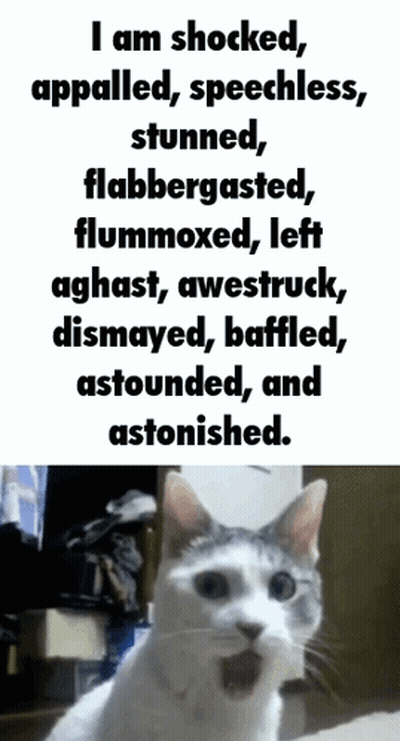 Cat With Open Mouth GIF