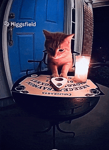 Cat With Ouija Board And Candle GIF