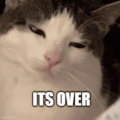 Cat With Overwritten Text GIF