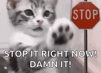 Cat With Paw Up At Stop Sign GIF