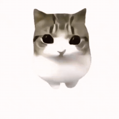 Cat With Pink Blush Cheeks GIF