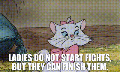 Cat With Pink Bow Saying Ladies Finish Fights GIF