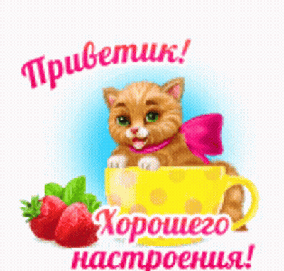 Cat With Pink Bow Sitting In Yellow Cup With Strawberries GIF