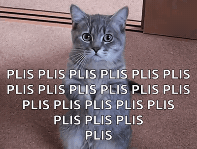Cat With Plis Plis Plis Caption GIF