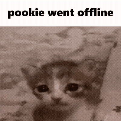 Cat With Pookie Went Offline GIF